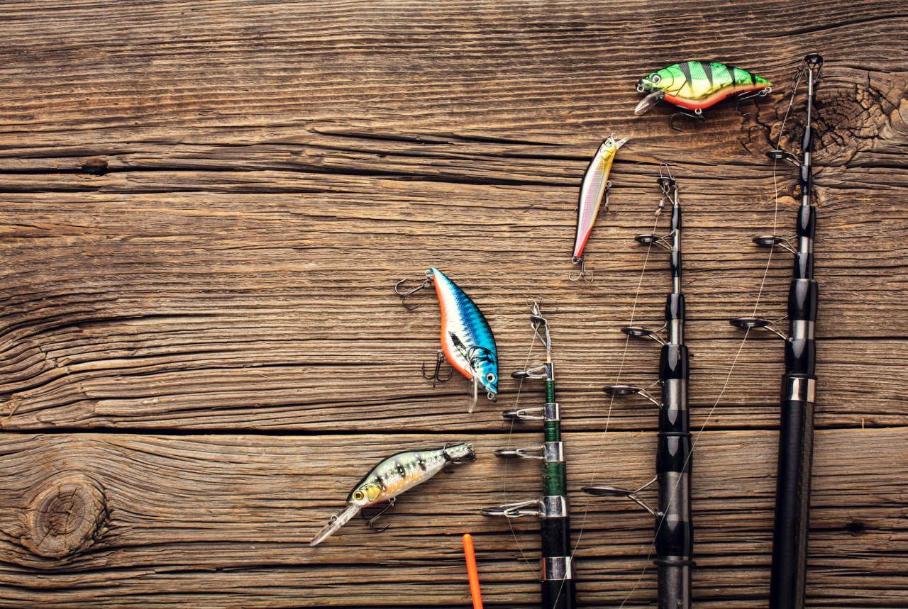 Olta Makinesi Seçerken Nelere Dikkat Edilmelidir?