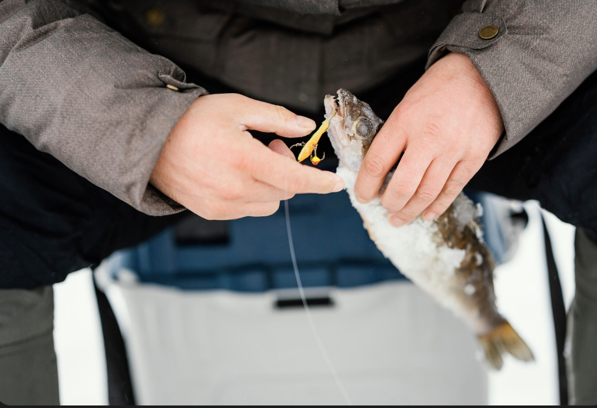 Misina Seçimi Nasıl Yapılır? Monofilament, Fluorocarbon ve İp Misinalar Arasındaki Farklar