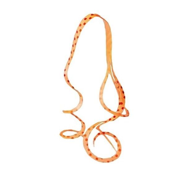 Gamakatsu Sakuragen Silicone Necktie Cascade Curly - 33 Red Spot Orange