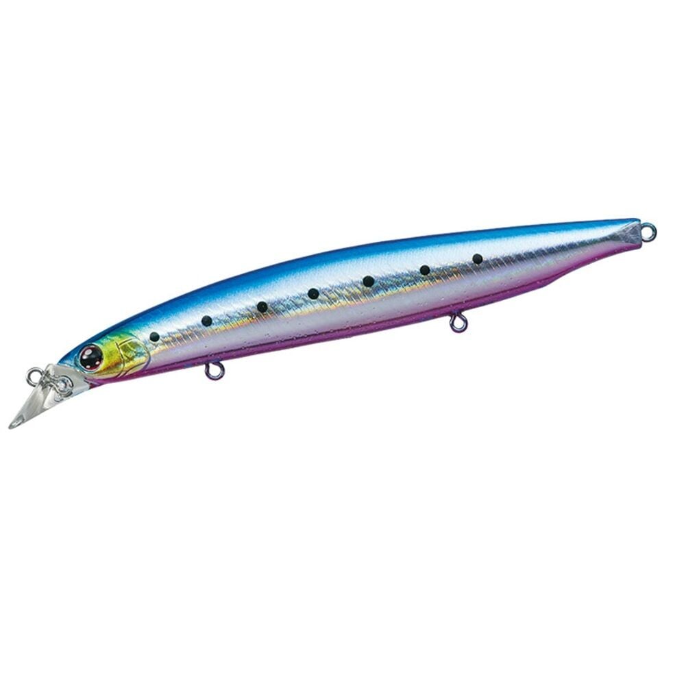 Daiwa Shore Line Shiner Z Vertice R 125F - Adel Flathead Sardine